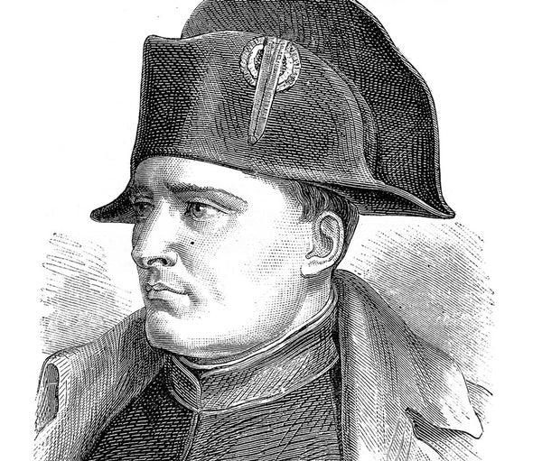 Napoleon & The Court of France
